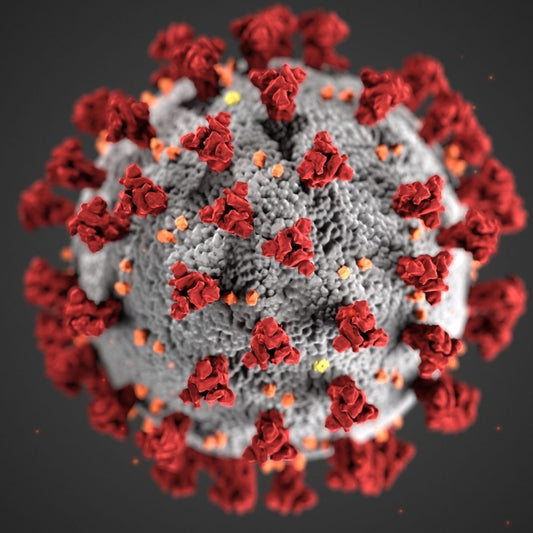 microscopic-view-of-coronavirus